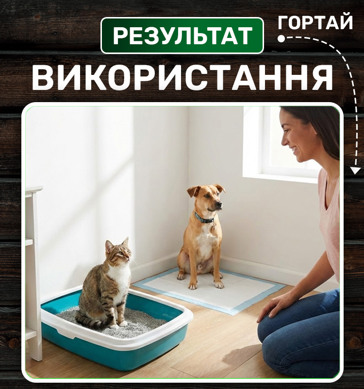 Собака біля пелюшки